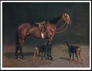 DOBERMAN PINSCHER DOGS AND HORSE VINTAGE STYLE DOG ART PRINT POSTER - Picture 1 of 1