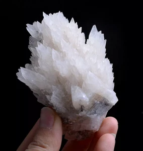 209g Natural  “Angel Wings” White Calcite Crystal Mineral Specimen/China - Picture 1 of 11