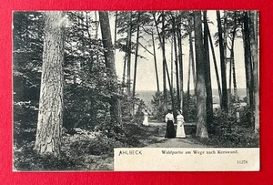 AK Ostseebad AHLBECK 1905 Waldpartie am Wege nach Korswand Typen   ( 162810 - Bild 1 von 2