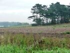 Photo 6X4 The Point Of The Wood Manton/Sk5978 Apex Of Triangular Wood Se C2011