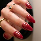 Elegant Fake Nials Long Almond Nail Tips Manicure False Nails  DIY