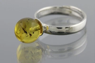Anillo Ajustable Plata Cuentas Redondas Ámbar Báltico Genuino GNAT y APHID 2.7g 00416-4 Foto 1 de 4