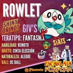 Rowlet "Shiny or not" 6 IVs Pokemon Escarlata y Púrpura 🍇🍊✨ - Picture 1 of 3