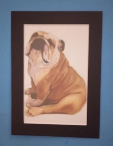 5" x 7" Matted 4" x 6" Print of Painting of Cute Sitting Old English Bulldog - Picture 1 of 3