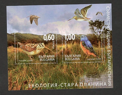 BULGARIA-MNH  BLOCK- FAUNA-BIRDS-JOINT ISSUE WITH SERBIA-ECOLOGY-2009. - Image 1 of 2