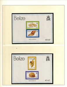 BELICE SC 488-89 NH 2S/S DE 1980-81 - CARCASAS - Imagen 1 de 1