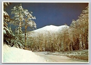 Postcard Arizona San Francisco Peaks Snow Covered 22C - Picture 1 of 2