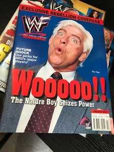 WWF WWE Magazin FEBRUAR 2002 Ric Flair + Trish Poster - Bild 1 von 3