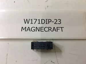 W171DIP-23 MAGNECRAFT REED RELAY THRU HOLE 2 PIECES - Picture 1 of 1
