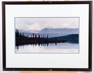 Thomas Mangelsen Photo "Under the Alaska Range - Loon" L.E. 208/950 Framed Photo - Image 1 of 4