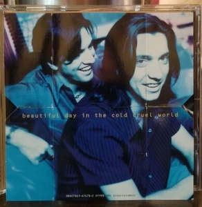 The Warren Brothers Beautiful Day in the Cold Cruel World CD - Flip Book Cover - Picture 1 of 2