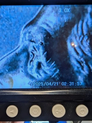 2016 D Roosevelt Dime Error Die Chip Above Eye Fast Shipping - Image 1 of 3