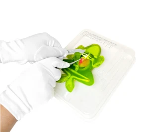 DISSECT IT+ Simulated Synthetic Dissection STEM Science Frog Lab Kit Homeschool - Picture 1 of 4