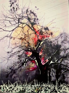 Fine Art Poster 18" x 24" | Wall Decor for Home, Office - Picture 1 of 4