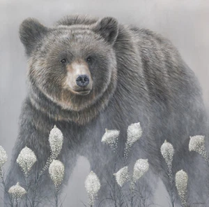 Pintura Grizzly Bear en Beargrass - Edición Limitada Impresión Artística en Lona - Firmado - Imagen 1 de 6