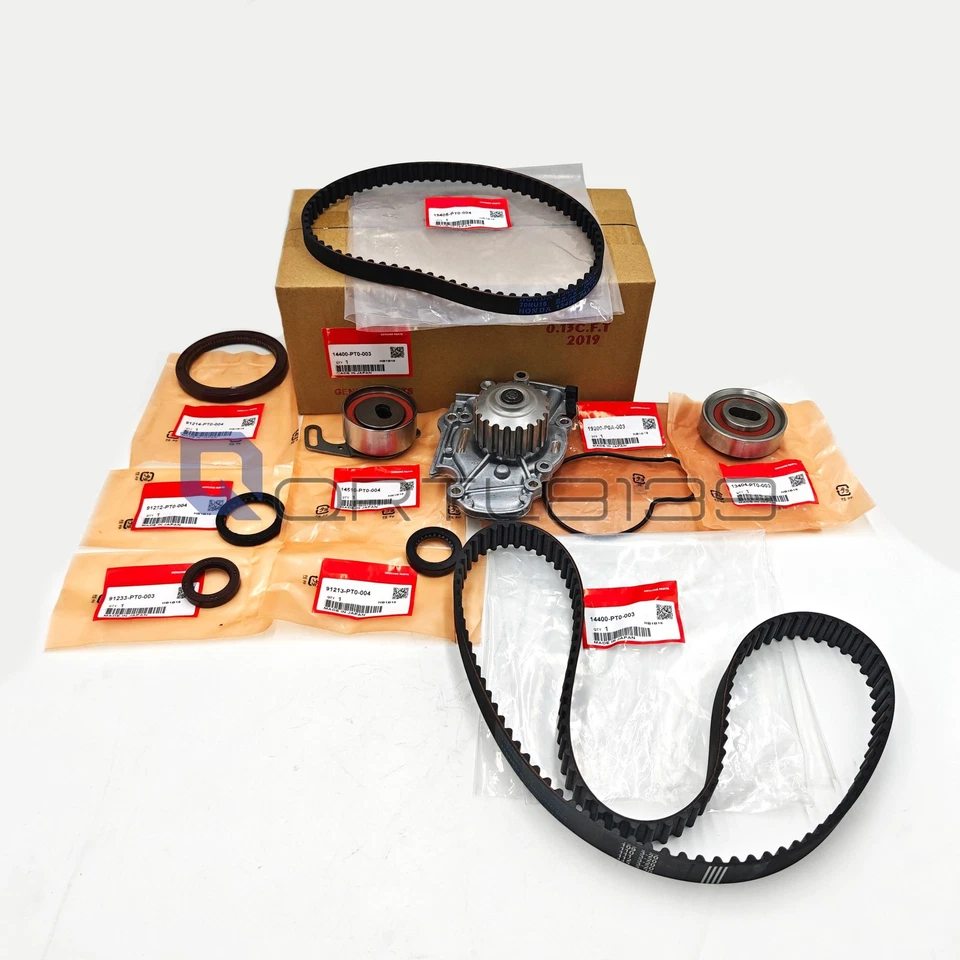 For Honda Accord Odyssey Prelude Isuzu Oasis 2.2L Timing Belt Kit + Water Pump Foto 1 de 4
