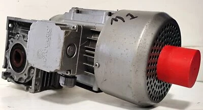 Motor eléctrico Motovario TS71B4 230/400 V AC con reductor de engranajes NMRV 050 30:1 Foto 1 de 4