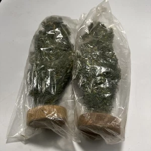 #1S-MINI ÁRBOLES DE NAVIDAD - Imagen 1 de 5