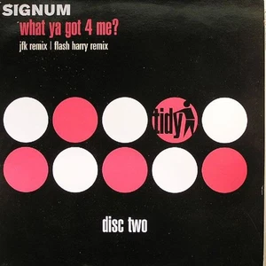 Signum - What Ya Got 4 Me - Used Vinyl Record 12 - 22 - K7294z - Picture 1 of 1