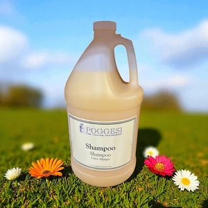 Poggesi Coco Mango Shampoo RARE 1 GALLON REFILL FACTORY SEALED! Fast Shipping - Picture 1 of 1