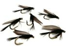 Black Gnat Classic Winged Wet Fly Fishing Trout River Stillwater Flies