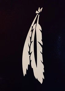 2x Pluma de pájaro indio nativo americano 5 divertidas pegatinas de vinilo de corte de troquelado 6 " - Imagen 1 de 3