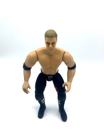Jakks Pacific Titan Sports WWF 1997 Bad Boys Tripple H Wrestling Action Figure Cover