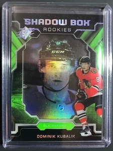 2019-20 SPX Shadow Box Rookies Dominik Kubalik  - Picture 1 of 2