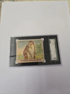  (R78) 1933 Jungle Chewing Gum Card #19 MAGOT - Picture 1 of 3