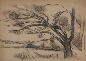 Maximilien LUCE : Vieux saule au bord du lac, Dessin original signé - Picture 1 of 5