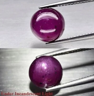 Star Ruby 7.23 Carats. Purplish Red. Untreated. Origin Guinea.  - Image 1 of 4