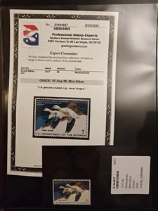 PSE Graded - RW #44 Duck Stamp  (Extremely Fine) - Picture 1 of 5