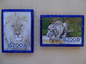 2x Kühlschrankmagnet, Zoo D`Amneville, Weisser Löwe und Tiger, ca. 4,5x6cm - Bild 1 von 1