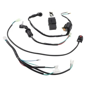 For CDI Ignition Coil Wiring Harness for 50cc 70cc 90cc 110cc 125cc ATVs - Picture 1 of 12