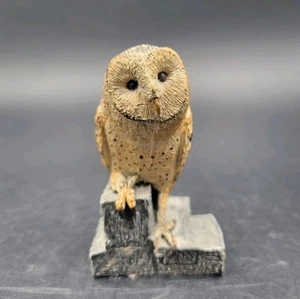 Cold Bronze Cast Barn Owl Figurine Charles Earnhardt 2.5” Wildlife Collection - Picture 1 of 7