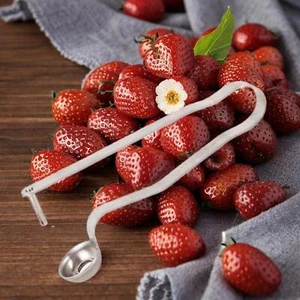 Cherry Pitter Tool Kitchen Gadgets Easy to Use Multifunctional for Fruits - Picture 1 of 5