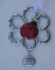 S1 Today is your lucky day LOVING LITTLE LADYBUGS ORNAMENT ganz ladybug