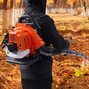 Spazzaneve a zaino 42,7 cc 2 tempi 1,25 kW motore a gas - Foto 1 di 16