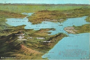 Original Penny Postcard MT TAMALPAIS & MUIR WOODS RAILWAY San Francisco Panorama - Picture 1 of 4