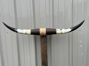 MOUNTED STEER HORNS 3 FEET 3 Inch WIDE LONGHORN POLISHED MOUNT BULL COW - Picture 1 of 1