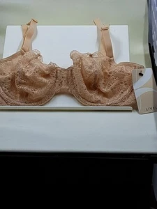 NUOVO reggiseno vivace foderato in pizzo con ferretto 2 ganci colore mandorla nylon/spandex taglia 32C - Foto 1 di 8