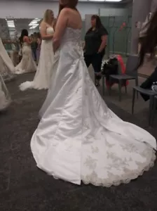 Davids Bridal Wedding Dress (V9665WHITE), shoes & veil NEW - Picture 1 of 14