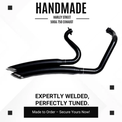 Escape personalizado Harley-Davidson Street 500/750 | Doble tubo 2 en 2 Foto 1 de 4