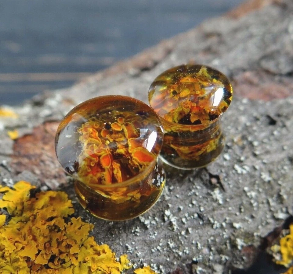 Orange Ear gauges for Men Lichen Resin ear tunnels Large size plugs 2g 00g 28mm - Image 1 of 4