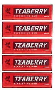 Goma de mascar Teaberry - Clásica Sabor Retro Nostálgica Chewie Paquete de goma menta - Imagen 1 de 12
