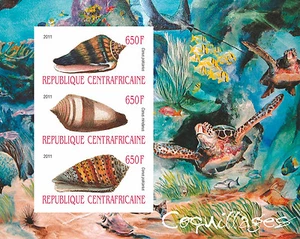 Cáscaras peces tortugas marinas vida marina s/s I África Central 2011 montado sin montar o nunca montado #cf1110 IMPERF - Imagen 1 de 1