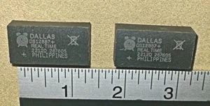 Fichas Dallas en tiempo real DS12887+ - cantidad. Precio 2 por 1 - Nuevo - Imagen 1 de 2
