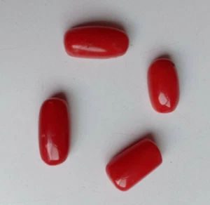 100% Natural Red Coral Capsule For Jewelry Loose Gemstone Ring Size 10.47 CTS - Picture 1 of 3