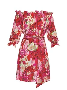 ISOLDA Fru Fru floral-print silk dress Size US 4 UK 8 S SMALL - Picture 1 of 12