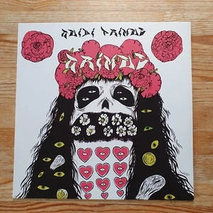 Grimes – Geidi Primes, Vinyl LP, No Pain In Pop NPIP024, ORIGINAL 2011 !!! - Imagen 1 de 5
